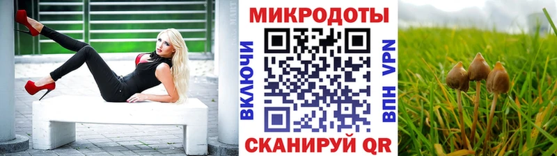 сколько стоит Вологда мориарти какой сайт Псилоцибиновые грибы мицелий