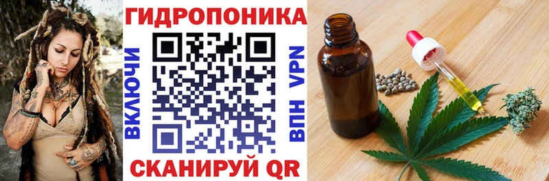 Шишки марихуана AK-47  МЕГА ONION  Вологда  дарнет шоп 